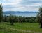 Veduta sul lago prima di Bolsena.