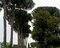 Prima di incrociare la statale prendo sulla destra una bella strada ombreggiata dal fondo inghiaiato.