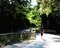 La strada  nel bosco prima del centro Sportivo di Formello. 