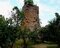 Sopra le chiome dei  noccioli, si innalzano le Torri di Orlando, ruderi di monumenti funerari di epoca romana...