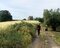 Raggiungiamo una collina sulla cui sommità spiccano i ruderi di Casale Quartuccio.