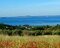 Appena il bosco si dirada splendide vedute sul Lago di Bolsena...
