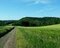 imbocchiamo una bella strada sterrata che attraversa i pascoli e i boschi alle pendici dei Monti Volsini.