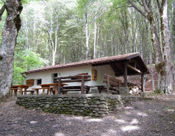 La Lorenza art 1