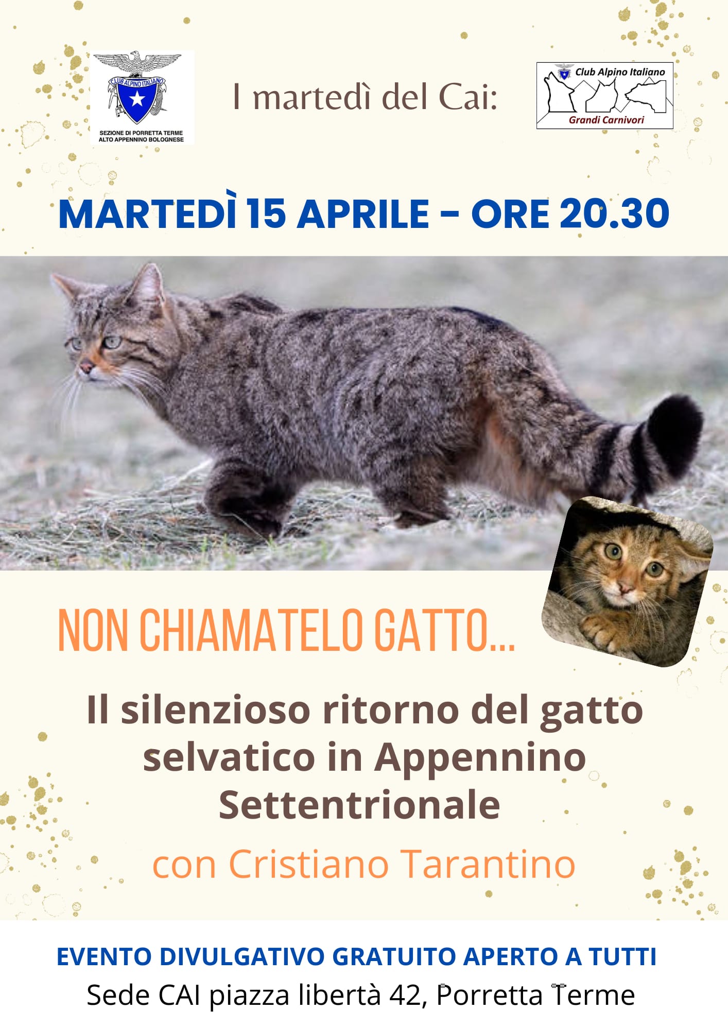 15 04 2025 Non chiamatelo gatto